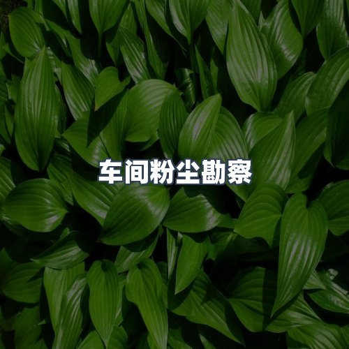 服务优势