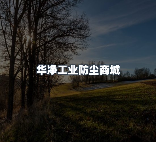 关于华净工业防尘商城