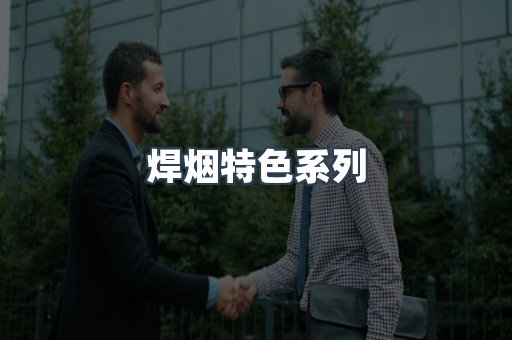焊烟特色系列