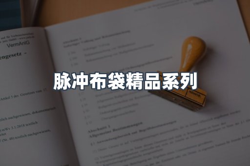 脉冲布袋精品系列